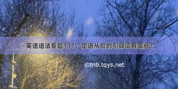 英语语法专题117：定语从句的引导词有哪些？