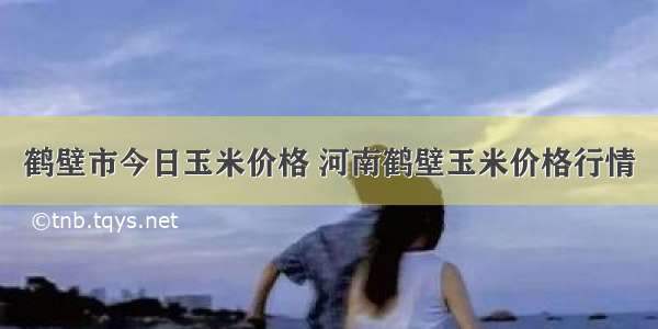 鹤壁市今日玉米价格 河南鹤壁玉米价格行情