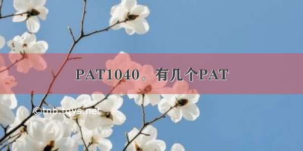 PAT1040。有几个PAT