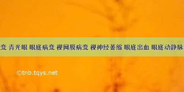 黄斑病变 青光眼 眼底病变 视网膜病变 视神经萎缩 眼底出血 眼底动静脉堵塞 白