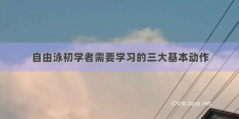 自由泳初学者需要学习的三大基本动作