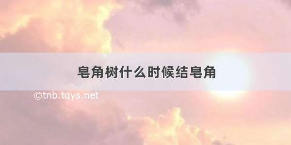 皂角树什么时候结皂角