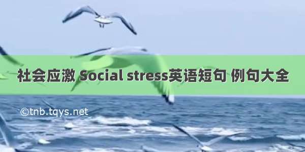 社会应激 Social stress英语短句 例句大全