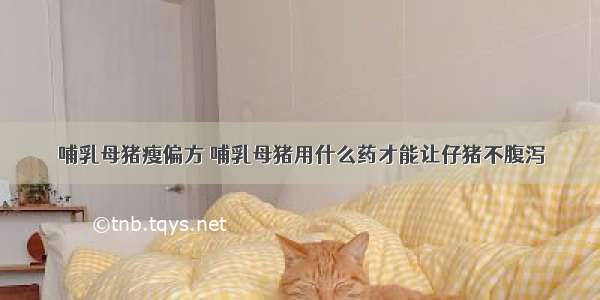 哺乳母猪瘦偏方 哺乳母猪用什么药才能让仔猪不腹泻