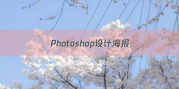 Photoshop设计海报