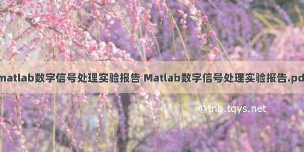 matlab数字信号处理实验报告 Matlab数字信号处理实验报告.pdf