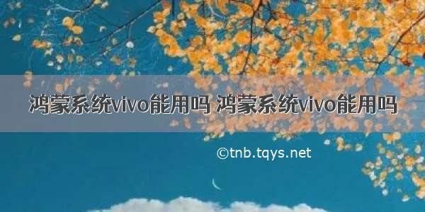 鸿蒙系统vivo能用吗 鸿蒙系统vivo能用吗