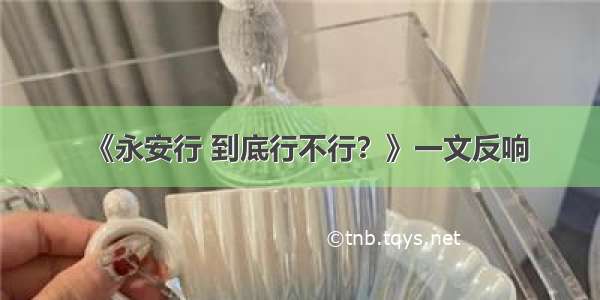 《永安行 到底行不行？》一文反响