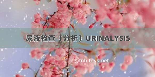 尿液检查（分析）URINALYSIS