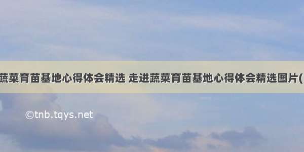 走进蔬菜育苗基地心得体会精选 走进蔬菜育苗基地心得体会精选图片(四篇)