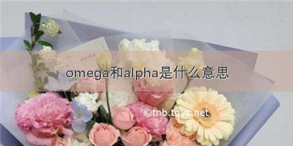 omega和alpha是什么意思