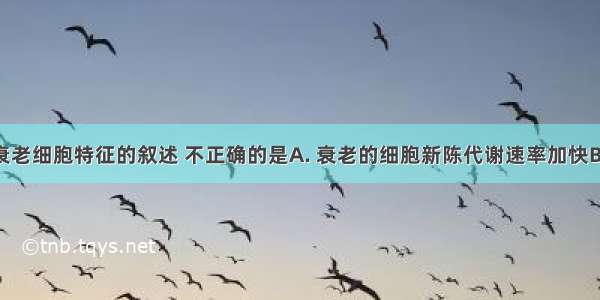 下列有关衰老细胞特征的叙述 不正确的是A. 衰老的细胞新陈代谢速率加快B. 衰老的细