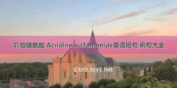 吖啶磺酰胺 Acridine sulfonamide英语短句 例句大全