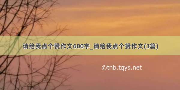 请给我点个赞作文600字_请给我点个赞作文(3篇)