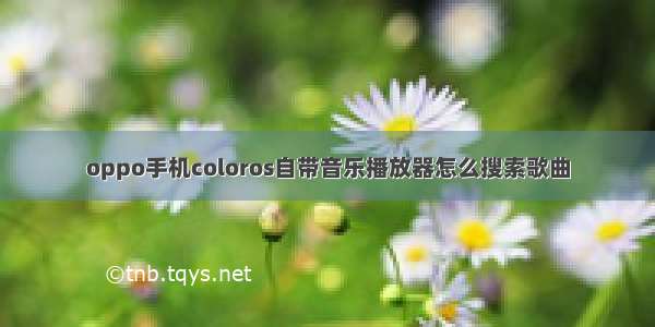 oppo手机coloros自带音乐播放器怎么搜索歌曲