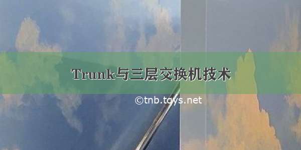 Trunk与三层交换机技术