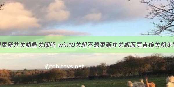 计算机更新并关机能关闭吗 win10关机不想更新并关机而是直接关机步骤设置