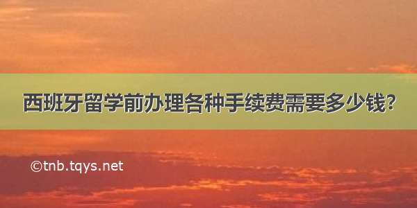 西班牙留学前办理各种手续费需要多少钱？