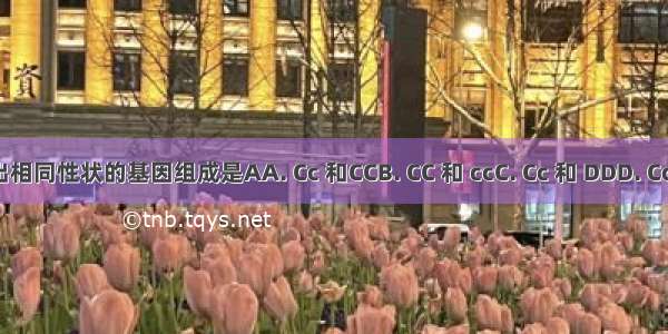 表现出相同性状的基因组成是AA. Cc 和CCB. CC 和 ccC. Cc 和 DDD. Cc 和 cc