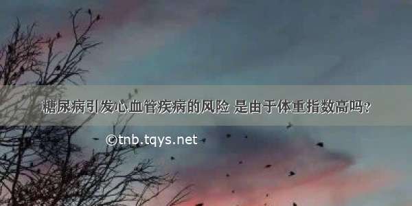 糖尿病引发心血管疾病的风险 是由于体重指数高吗？