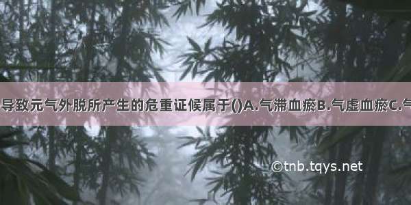 由于大失血 导致元气外脱所产生的危重证候属于()A.气滞血瘀B.气虚血瘀C.气不摄血D.气