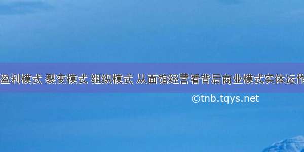 盈利模式 裂变模式 组织模式 从面馆经营看背后商业模式实体运作