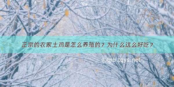 正宗的农家土鸡是怎么养殖的？为什么这么好吃？