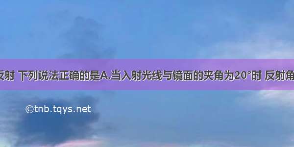 关于光的反射 下列说法正确的是A.当入射光线与镜面的夹角为20°时 反射角也为20°B.