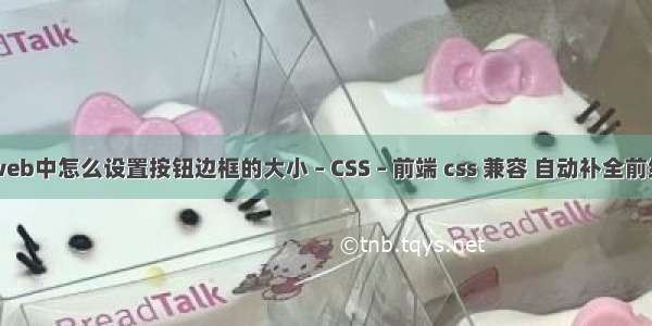 web中怎么设置按钮边框的大小 – CSS – 前端 css 兼容 自动补全前缀