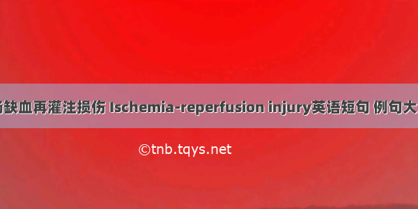 肠缺血再灌注损伤 Ischemia-reperfusion injury英语短句 例句大全