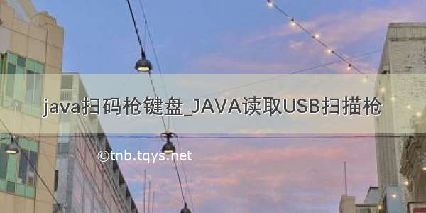 java扫码枪键盘_JAVA读取USB扫描枪