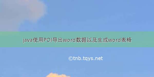 java使用POI导出word数据以及生成word表格