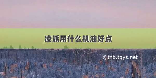 凌派用什么机油好点