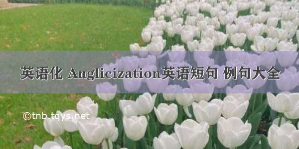 英语化 Anglicization英语短句 例句大全