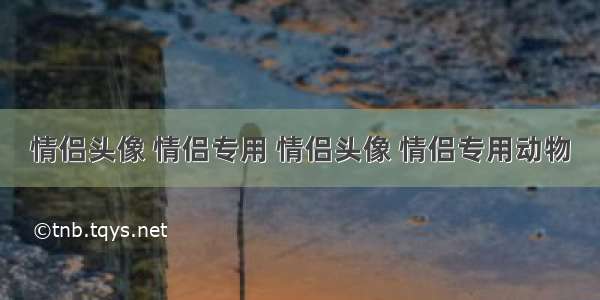 情侣头像 情侣专用 情侣头像 情侣专用动物