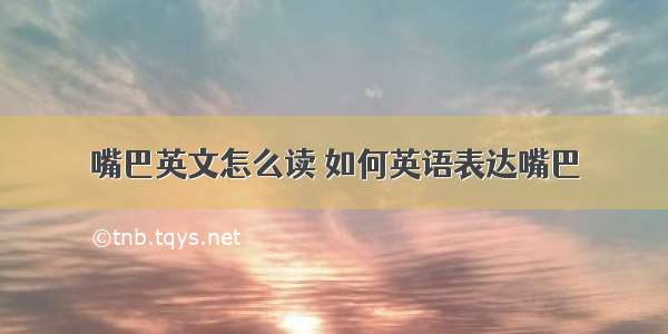 嘴巴英文怎么读 如何英语表达嘴巴