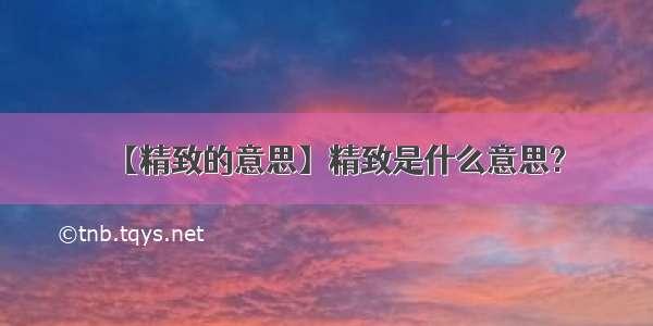 【精致的意思】精致是什么意思?