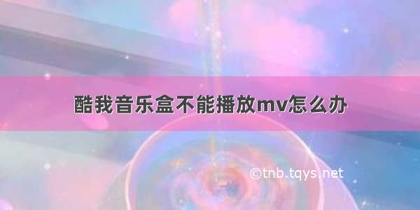 酷我音乐盒不能播放mv怎么办