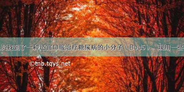 据报道研究人员找到了一种适宜口服治疗糖尿病的小分子（Boc5）。现用一些符合实验条件