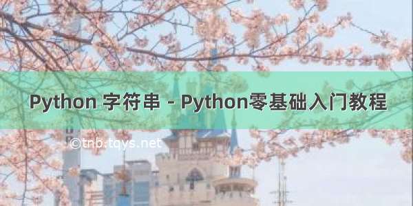 Python 字符串 - Python零基础入门教程