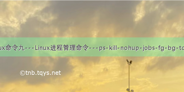 Linux命令九---Linux进程管理命令---ps-kill-nohup-jobs-fg-bg-top等