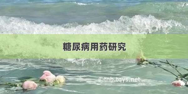 糖尿病用药研究