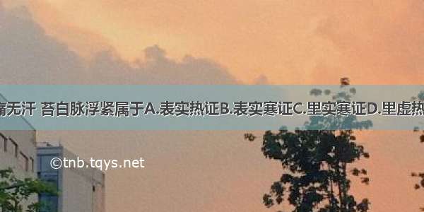 恶寒发热 头痛无汗 苔白脉浮紧属于A.表实热证B.表实寒证C.里实寒证D.里虚热证E.里虚寒证