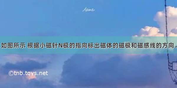 如图所示 根据小磁针N极的指向标出磁体的磁极和磁感线的方向．