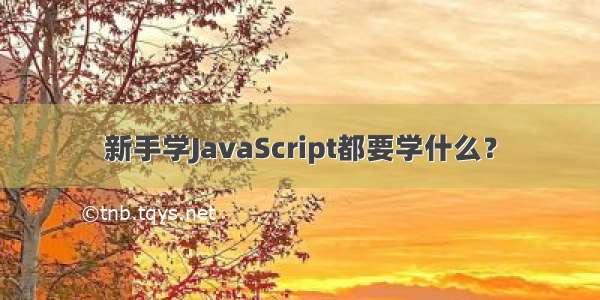 新手学JavaScript都要学什么？