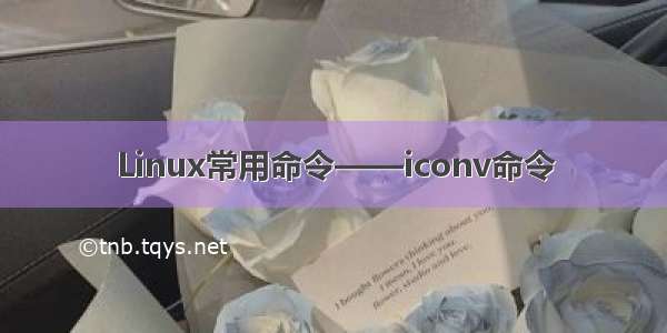 Linux常用命令——iconv命令