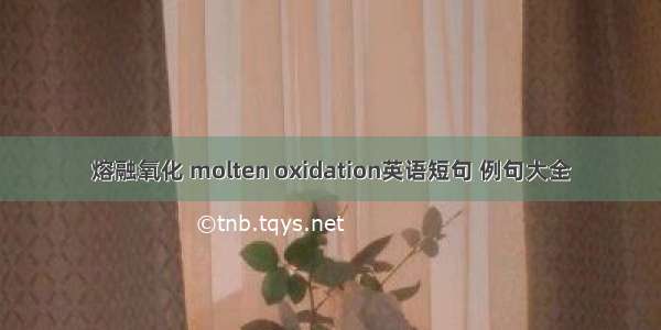 熔融氧化 molten oxidation英语短句 例句大全