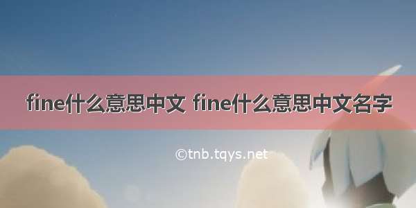 fine什么意思中文 fine什么意思中文名字