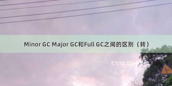 Minor GC Major GC和Full GC之间的区别（转）