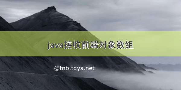 java接收前端对象数组